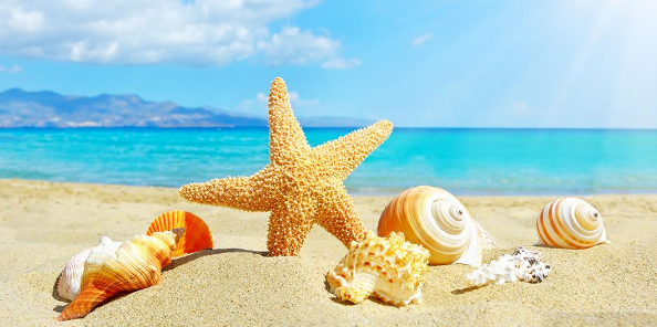 精選城市管理論文參考文獻25個