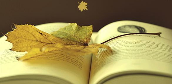 論文原創率達到多少可以發表