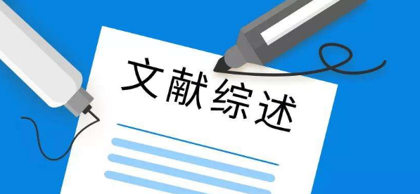 英語論文文獻(xiàn)綜述怎么寫