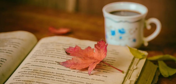 論文小修一般給多長時間