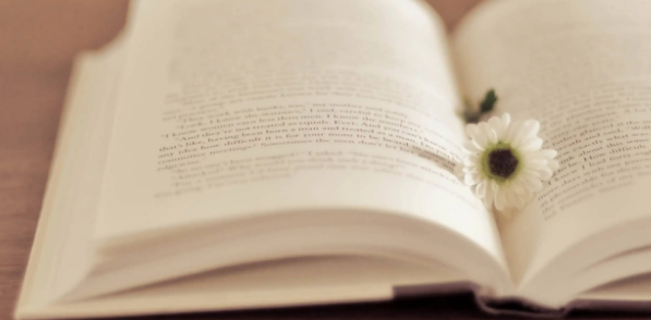 sci論文潤色一般多少錢