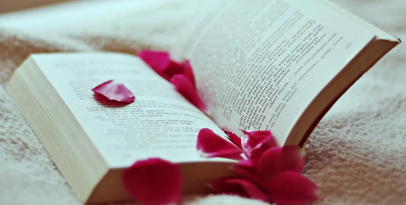 ei檢索的會議論文算什么級別