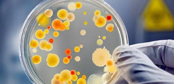 微生物領域的sci期刊盤點