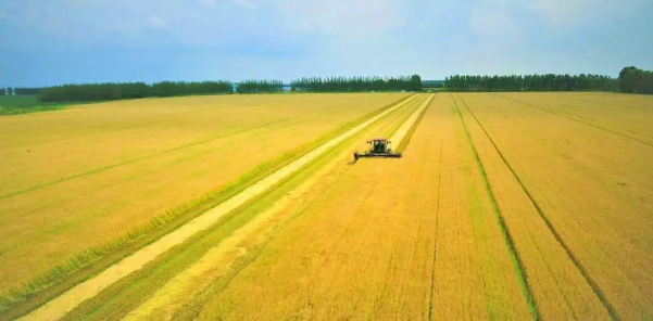 農業期刊有哪些