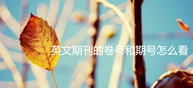 英文期刊的卷號(hào)和期號(hào)怎么看