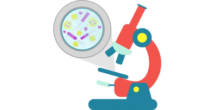 微生物一區的sci期刊整理