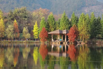 農林類sci期刊在哪能查到