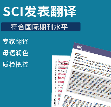 論文翻譯英文并潤色的技巧