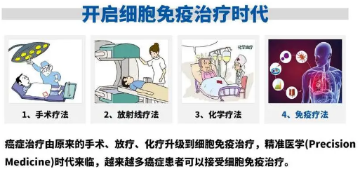 免疫功能研究論文能發(fā)的sci3區(qū)