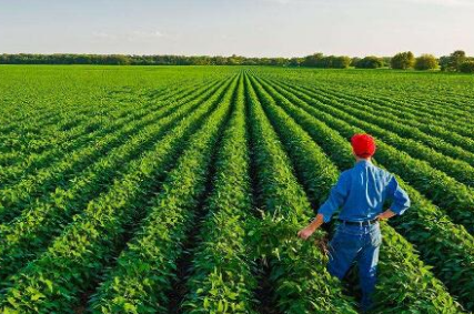 農業經濟類論文發英文期刊的案例