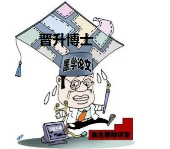 晉升博士論文能發(fā)什么期刊