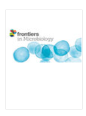 Frontiers In Microbiology期刊