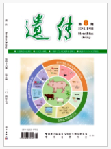遺傳學(xué)的期刊雜志影響因子