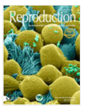 reproduction期刊