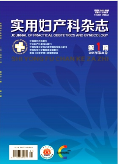 實用婦產科雜志