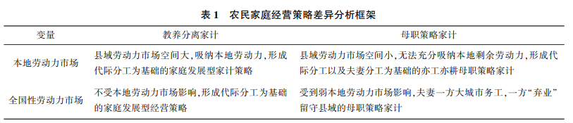 農(nóng)民家庭經(jīng)營策略差異分析框架
