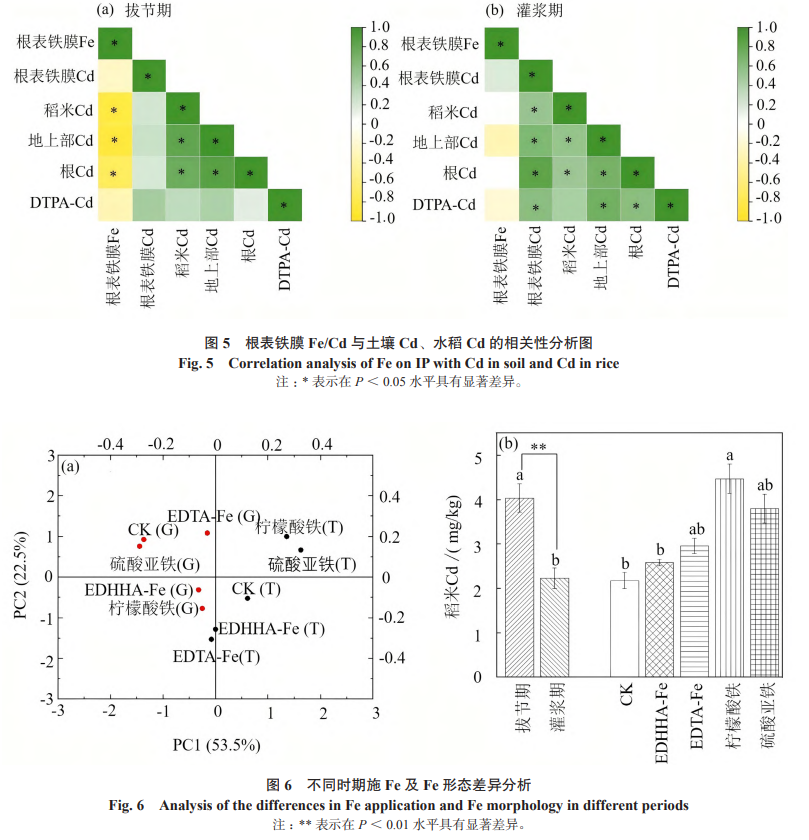 不同時(shí)期施 Fe 及 Fe 形態(tài)差異分析
