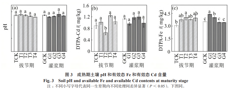 成熟期土壤 pH 和有效態(tài) Fe 和有效態(tài) Cd 含量