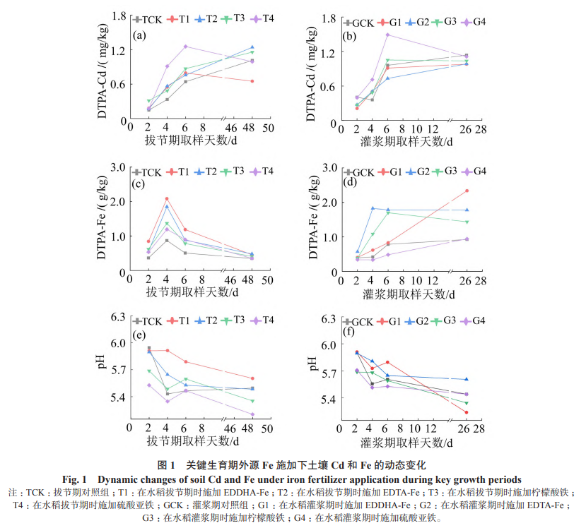 關(guān)鍵生育期外源 Fe 施加下土壤 Cd 和 Fe 的動(dòng)態(tài)變化