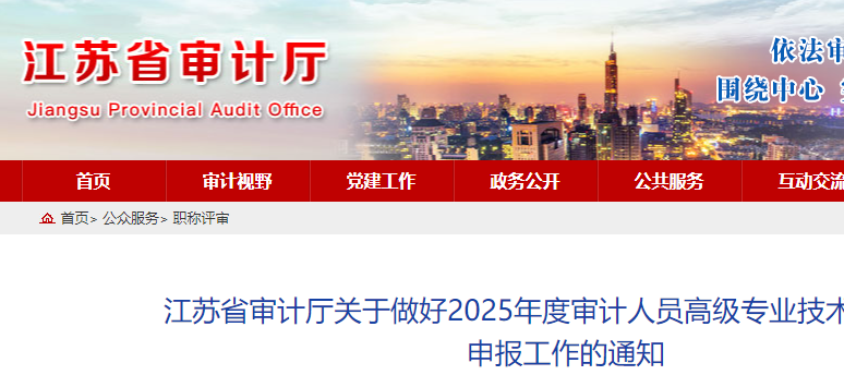 高級審計師評審申報材料