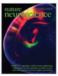 NATURE NEUROSCIENCE期刊