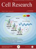 細(xì)胞研究