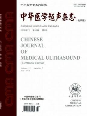 中華醫(yī)學超聲(電子版)醫(yī)學國家級期刊審稿