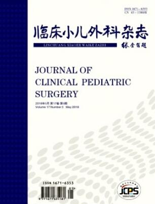 臨床小兒外科雜志是核心嗎