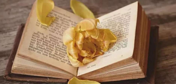 發表sci論文有什么好處