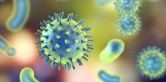 國內有哪些真菌方面的核心期刊