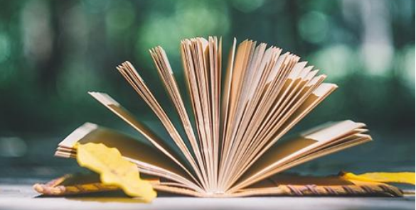 sci論文第二作者博士畢業有用嗎