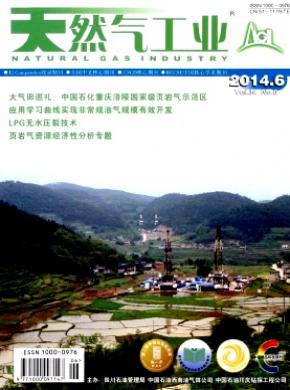 天然氣工業(yè)