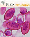 Plos Pathogens封面