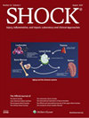 Shock封面