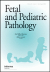 Fetal And Pediatric Pathology封面