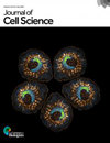 Journal Of Cell Science封面
